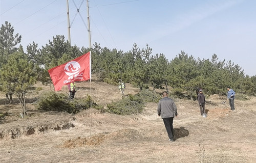 20210421154928886.jpg 1_副本_副本.jpg