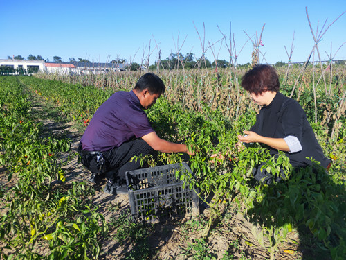 20210615105943494.jpg 02_副本.jpg