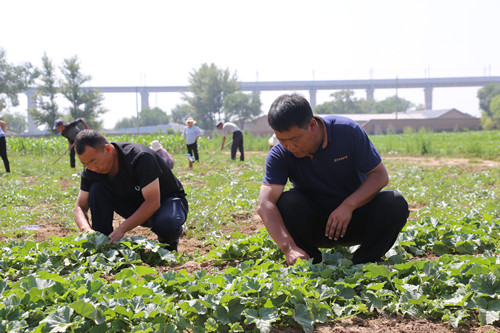 20210615105952185.jpg 03_副本.jpg