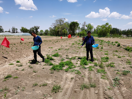 20210615110036766.jpg 06_副本.jpg