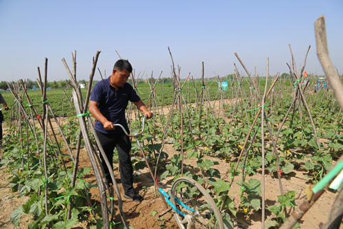 20210615110045718.jpg 07_副本.jpg