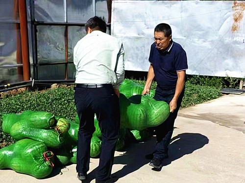 20220729105911288.jpg 03_副本.jpg