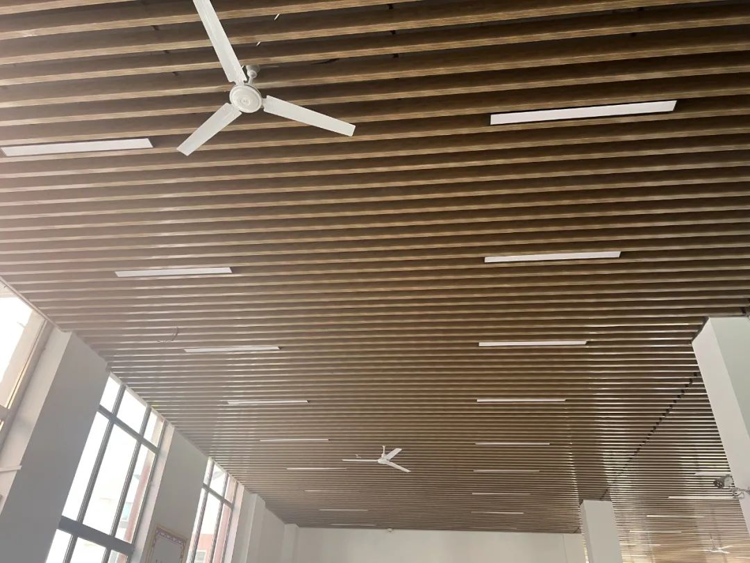 20230809173134891.jpg f3c2e77ace96bc45483c689f9987b5fb_640_wx_fmt=jpeg&wxfrom=5&wx_lazy=1&wx_co=1.jpg