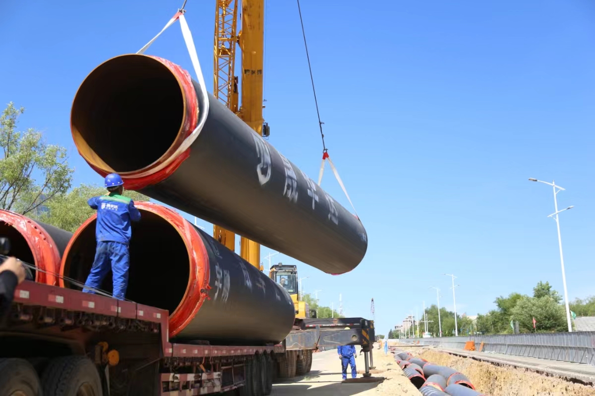 20240618110130689.jpg 20240618110130689.jpg