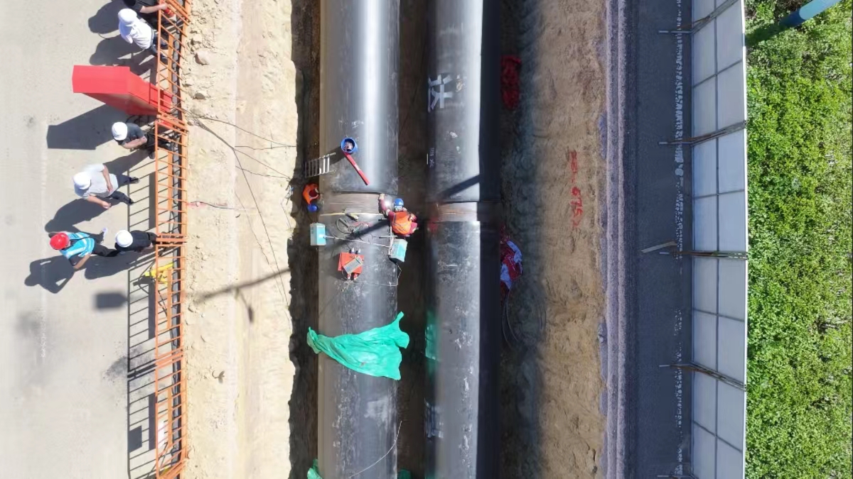 20240618110254994.jpg 20240618110254994.jpg