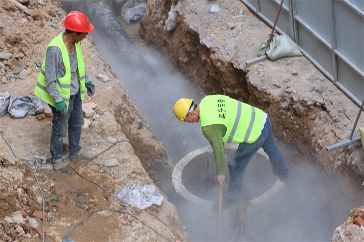 20240624155552960.jpg fe205203262ecf595ec0fc1e0b5d6db.jpg