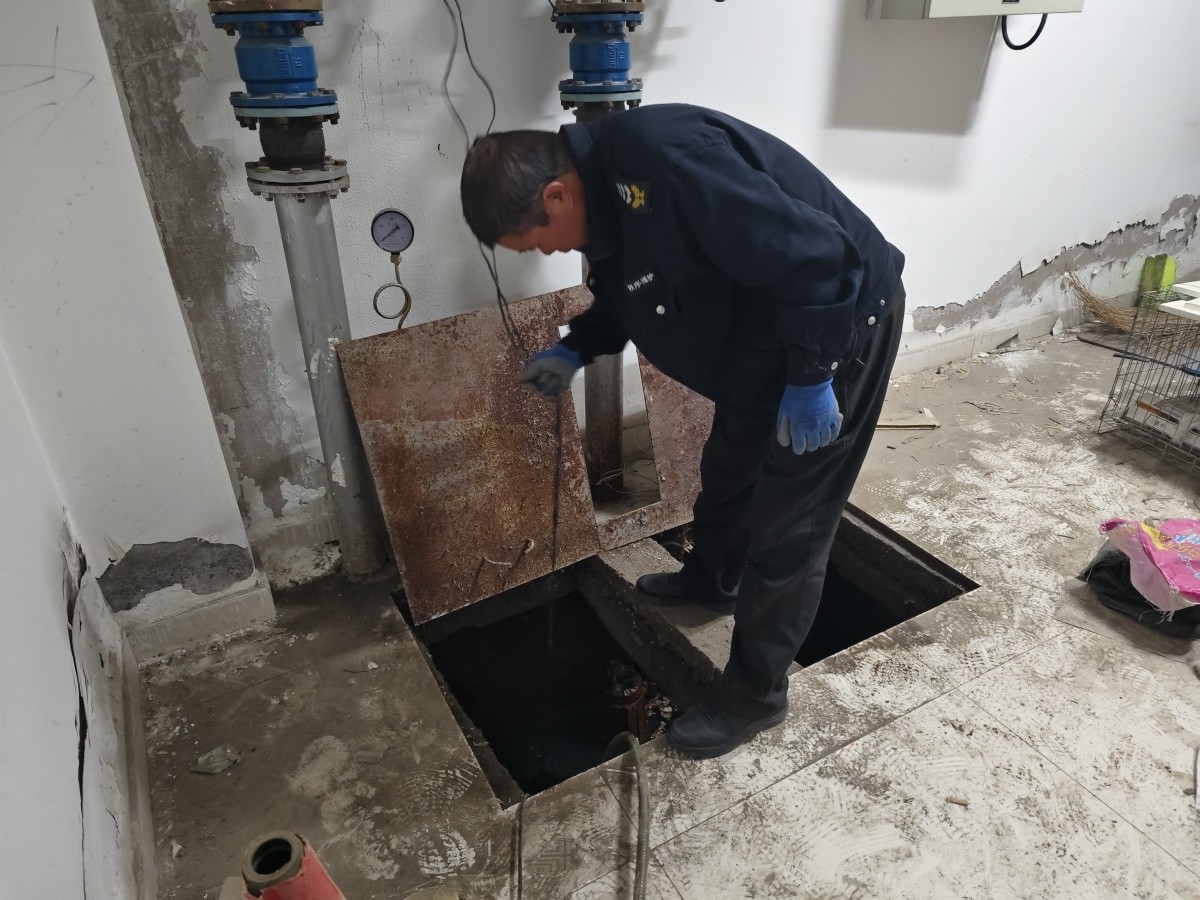 20241028164358500.jpg 20241028164358500.jpg