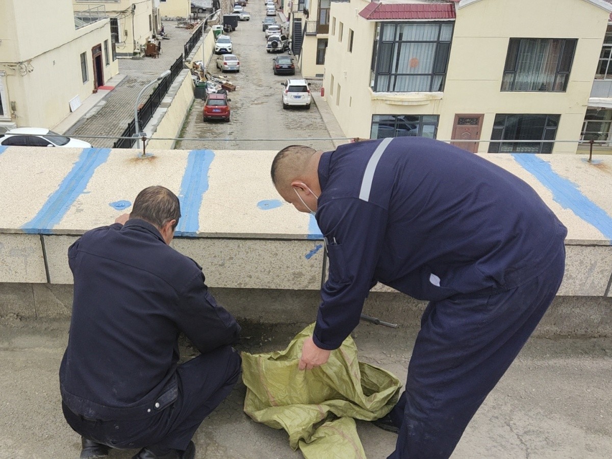 20241028164608872.jpg 20241028164608872.jpg