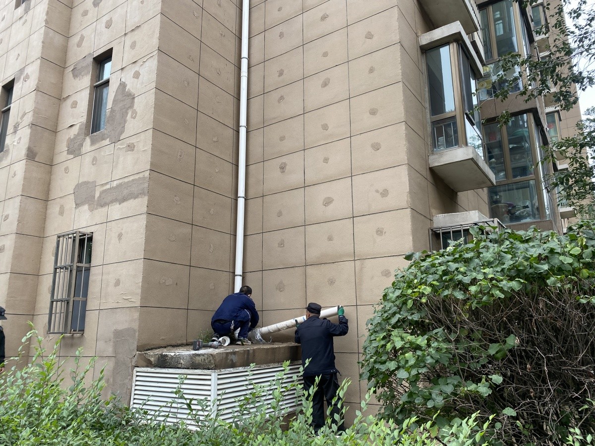 20241028164608901.jpg 20241028164608901.jpg