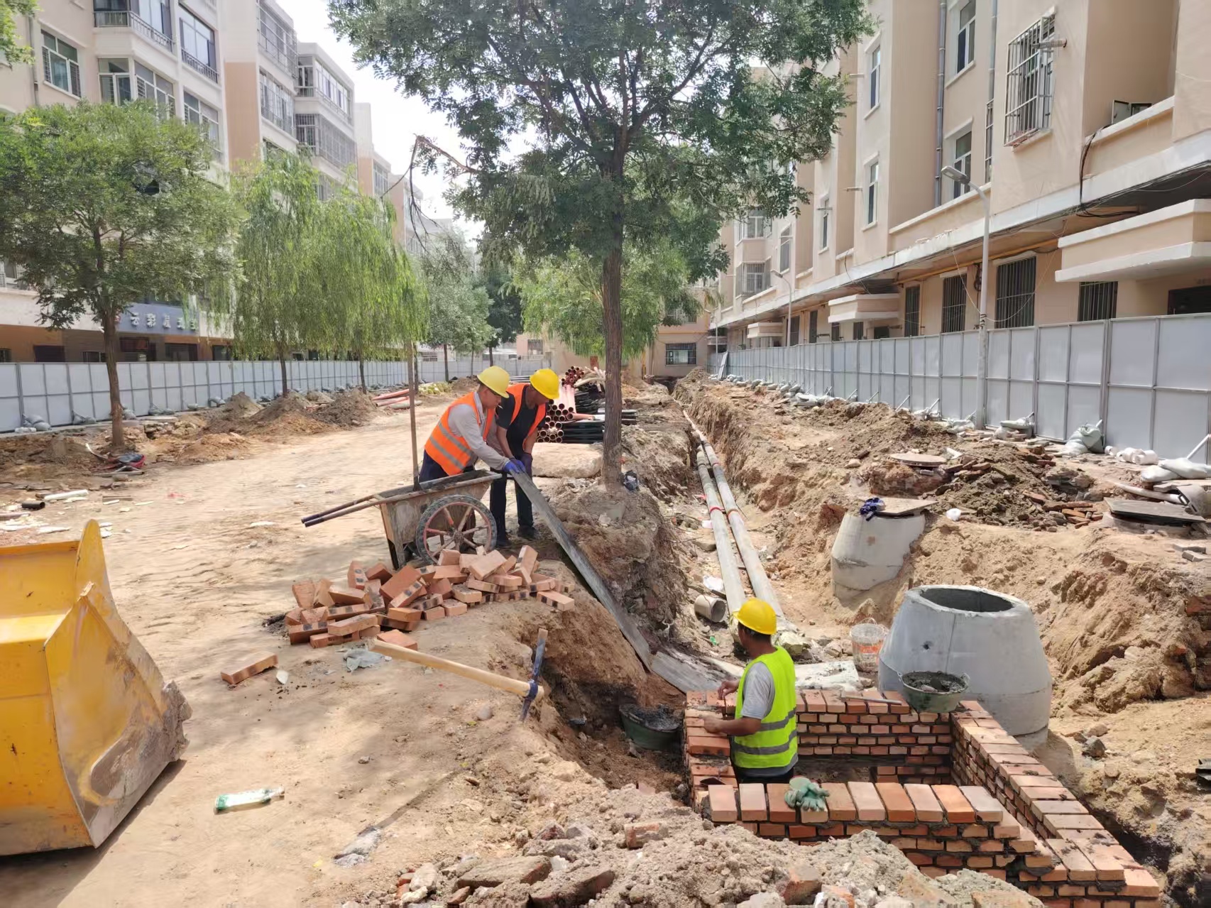 20250715114836298.jpg 20250715114836298.jpg